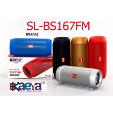 OkaeYa BS-167 FM Digital Portable Bluetooth Home Audio Speaker